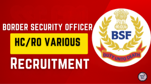 BSF HC RO/RM Recruitment 2025